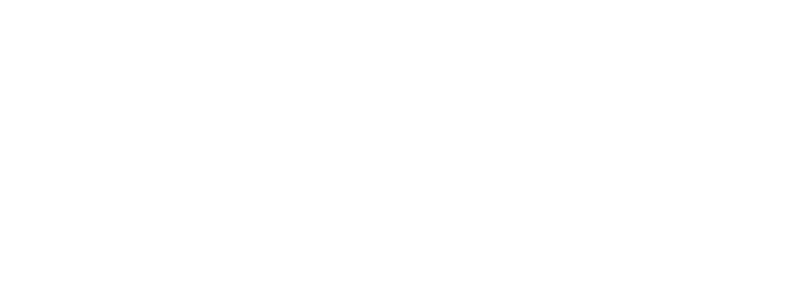 Magnit_Logo_TM_tag_rev_white